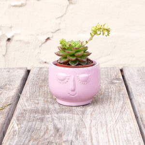 Happy Face Plant Pots