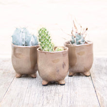 Load image into Gallery viewer, St Tropez Mini Plant Pots For Baby Plants!
