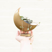 Load image into Gallery viewer, Mini Celestial Moon Planter
