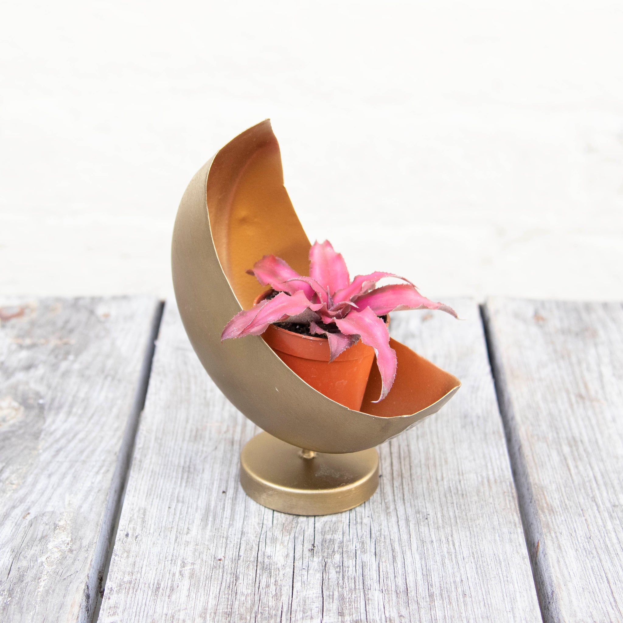 celestial plant pot Mini Celestial Moon Planter – Moose Plant Shop