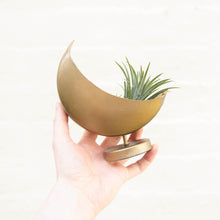 Load image into Gallery viewer, Mini Celestial Moon Planter
