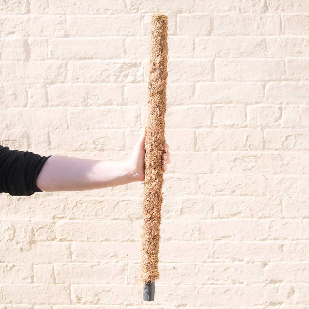 moss pole uk Moss Pole 50cm, 60cm or 80cm – Moose Plant Shop