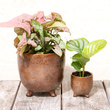 Load image into Gallery viewer, St Tropez Copper Pot (3 sizes)

