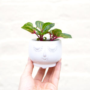 Happy Face Plant Pots