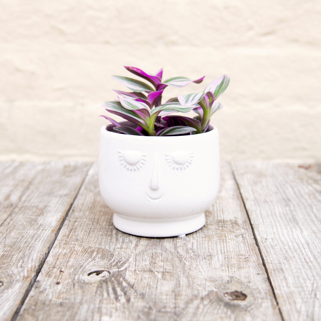 Happy Face Plant Pots