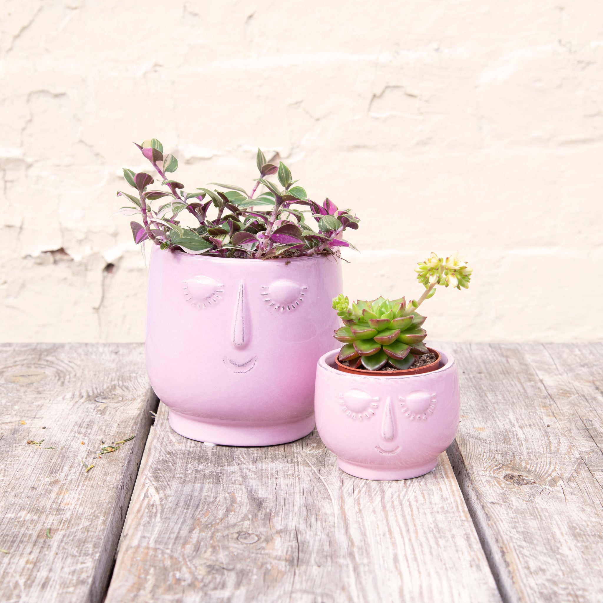 face plant pots uk Happy Face Plant Pots – Moose Plant Shop