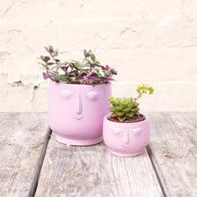 Load image into Gallery viewer, Happy Face Plant Pots
