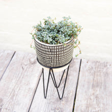 Load image into Gallery viewer, Black Dash Cement Planter With Wire Stand
