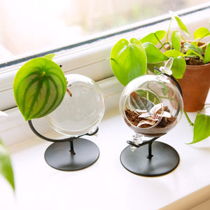 Orb Propagation Station