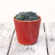 Load image into Gallery viewer, Alicante Plant Pot &#39;Ruby Red&#39; (4 sizes)
