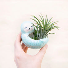 Load image into Gallery viewer, Seymour Sloth Planter
