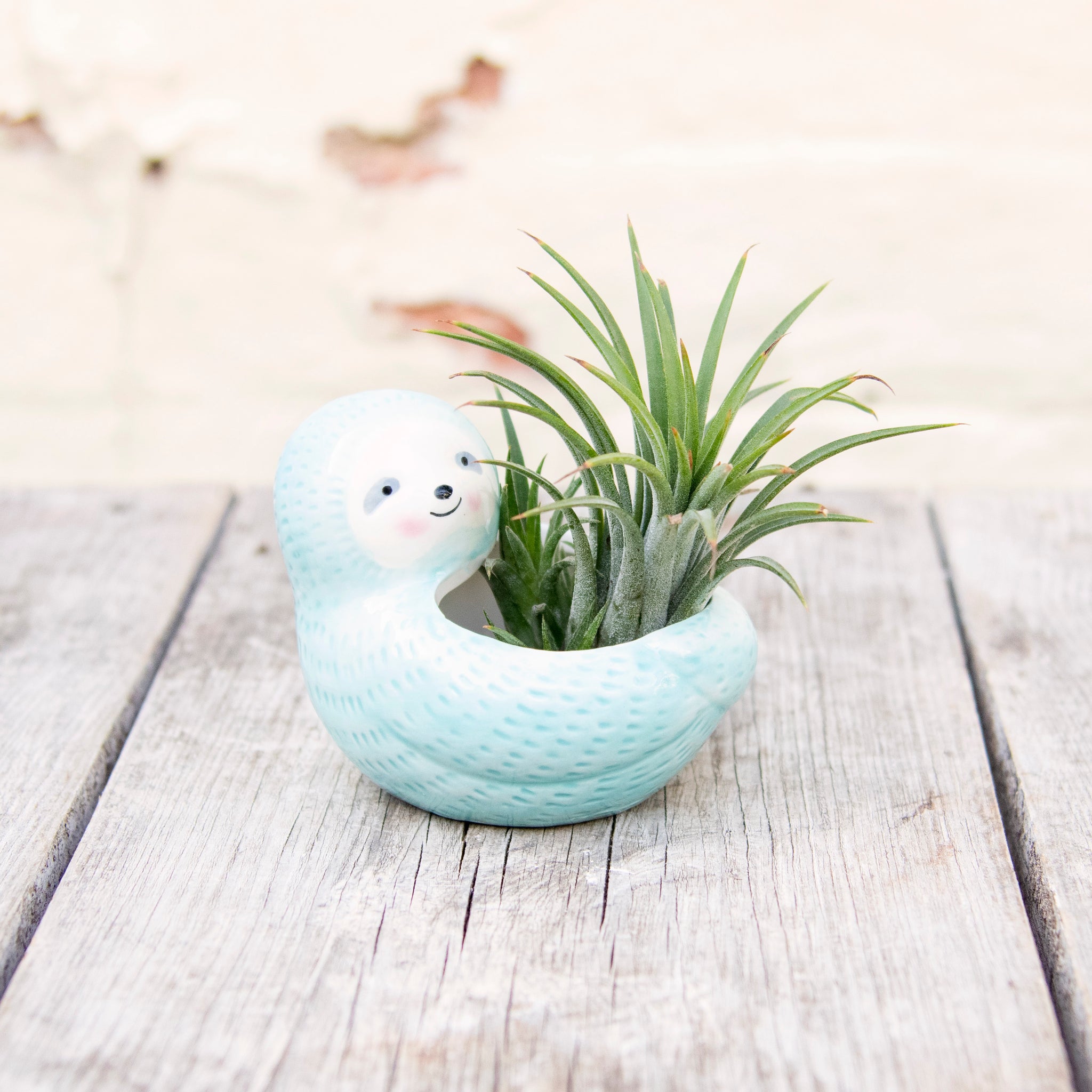 sloth pot plant Seymour Sloth Planter – Moose Plant Shop