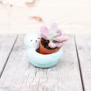 Seymour Sloth Planter