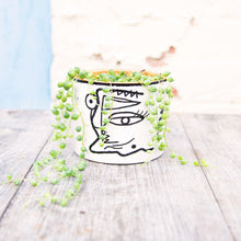 Load image into Gallery viewer, Senecio Herreianus 'String of Pearls'
