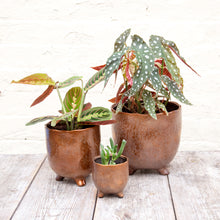 Load image into Gallery viewer, St Tropez Copper Pot (3 sizes)
