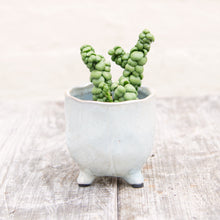 Load image into Gallery viewer, St Tropez Pearl Pot (3 sizes)
