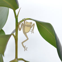 Load image into Gallery viewer, Plant Animal - Tree Frog
