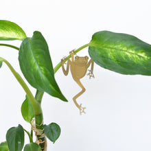 Load image into Gallery viewer, Plant Animal - Tree Frog
